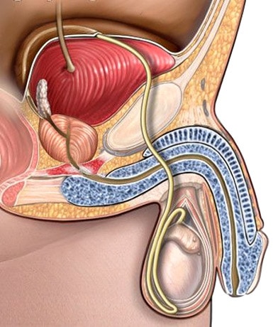 Prostate Enlargement Treatment